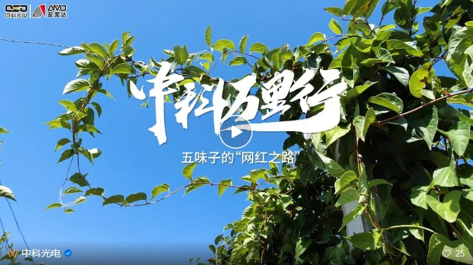 http://m.scjxchsm.com/Upload/ueditor/1743473521157045.png