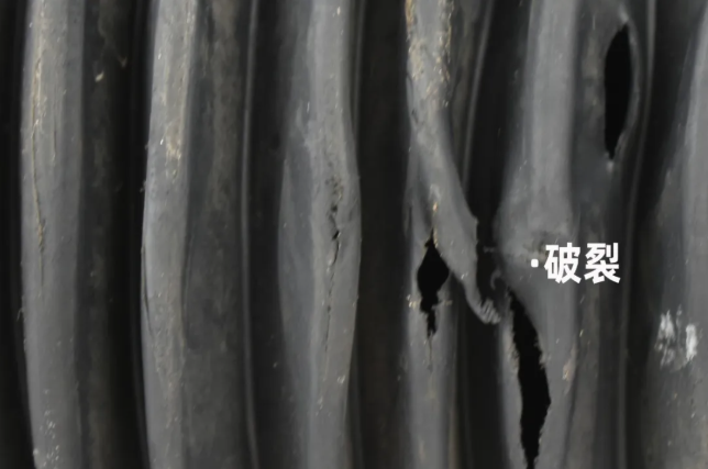 http://m.scjxchsm.com/Upload/ueditor/1744248093706159.png