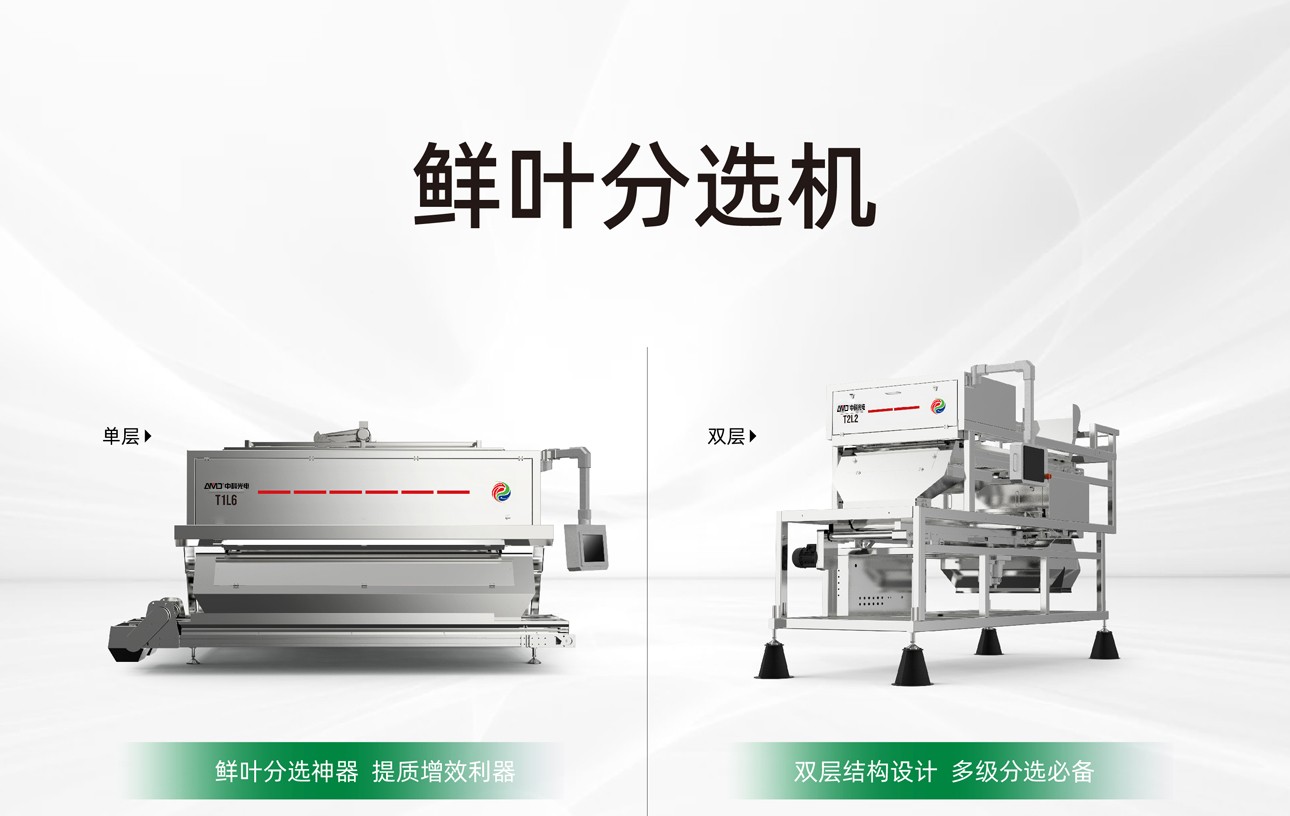 http://m.scjxchsm.com/Upload/ueditor/1747984764254801.jpg